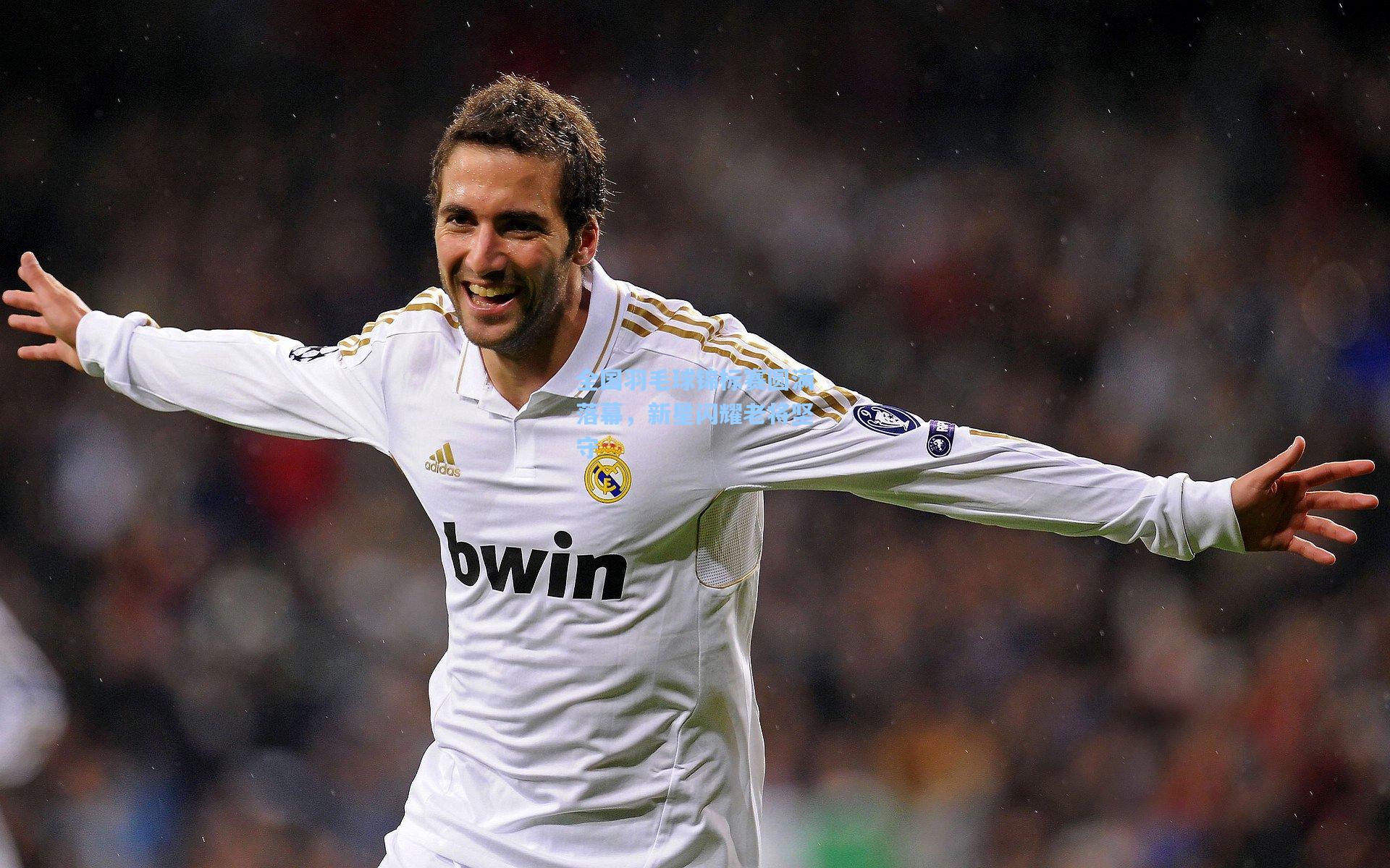 全国羽毛球锦标赛圆满落幕,新星闪耀老将坚守