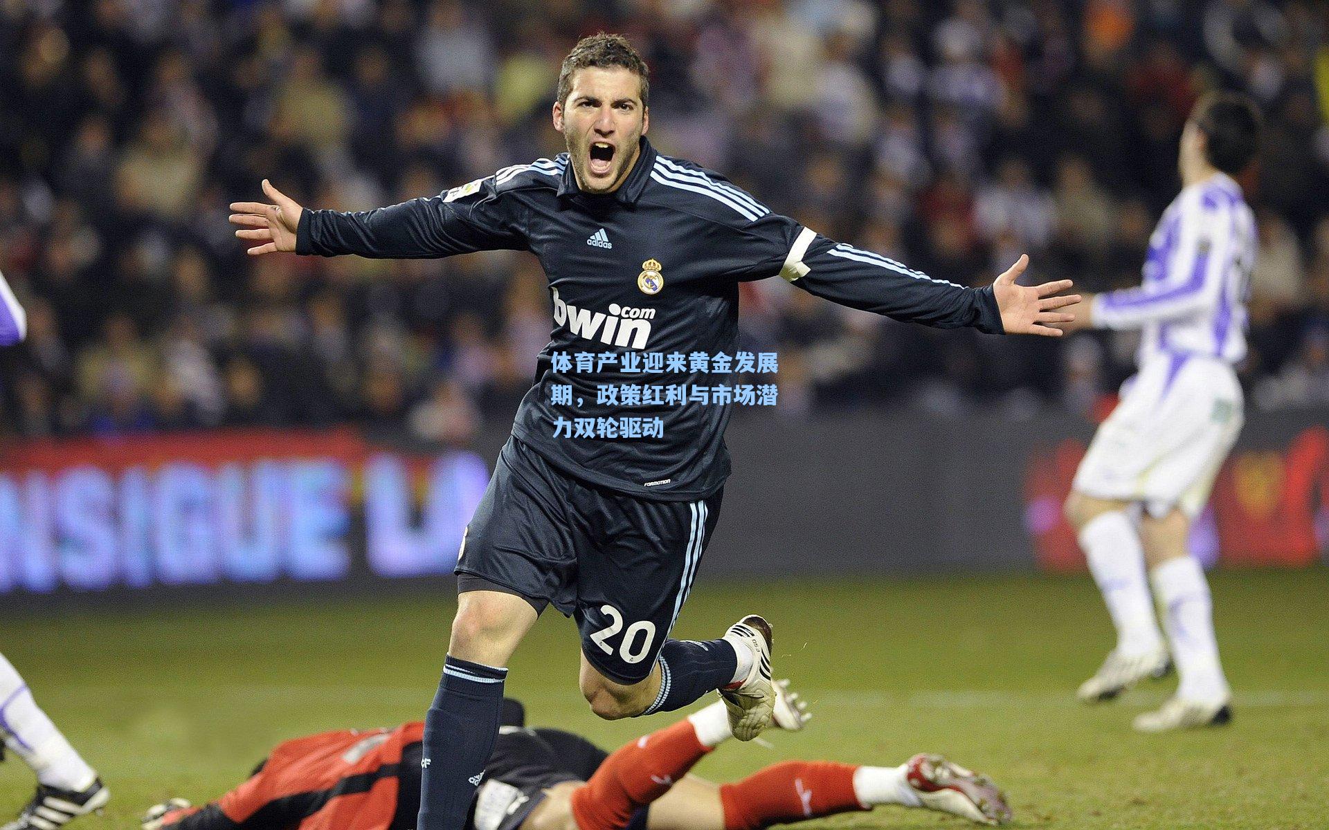 体育产业迎来黄金发展期，政策红利与市场潜力双轮驱动