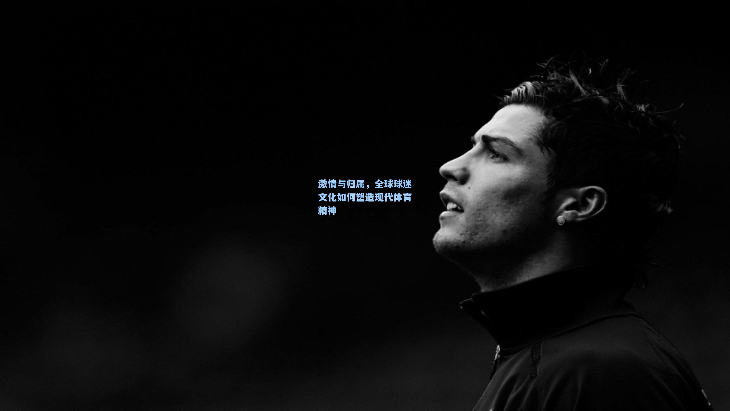 激情与归属，全球球迷文化如何塑造现代体育精神