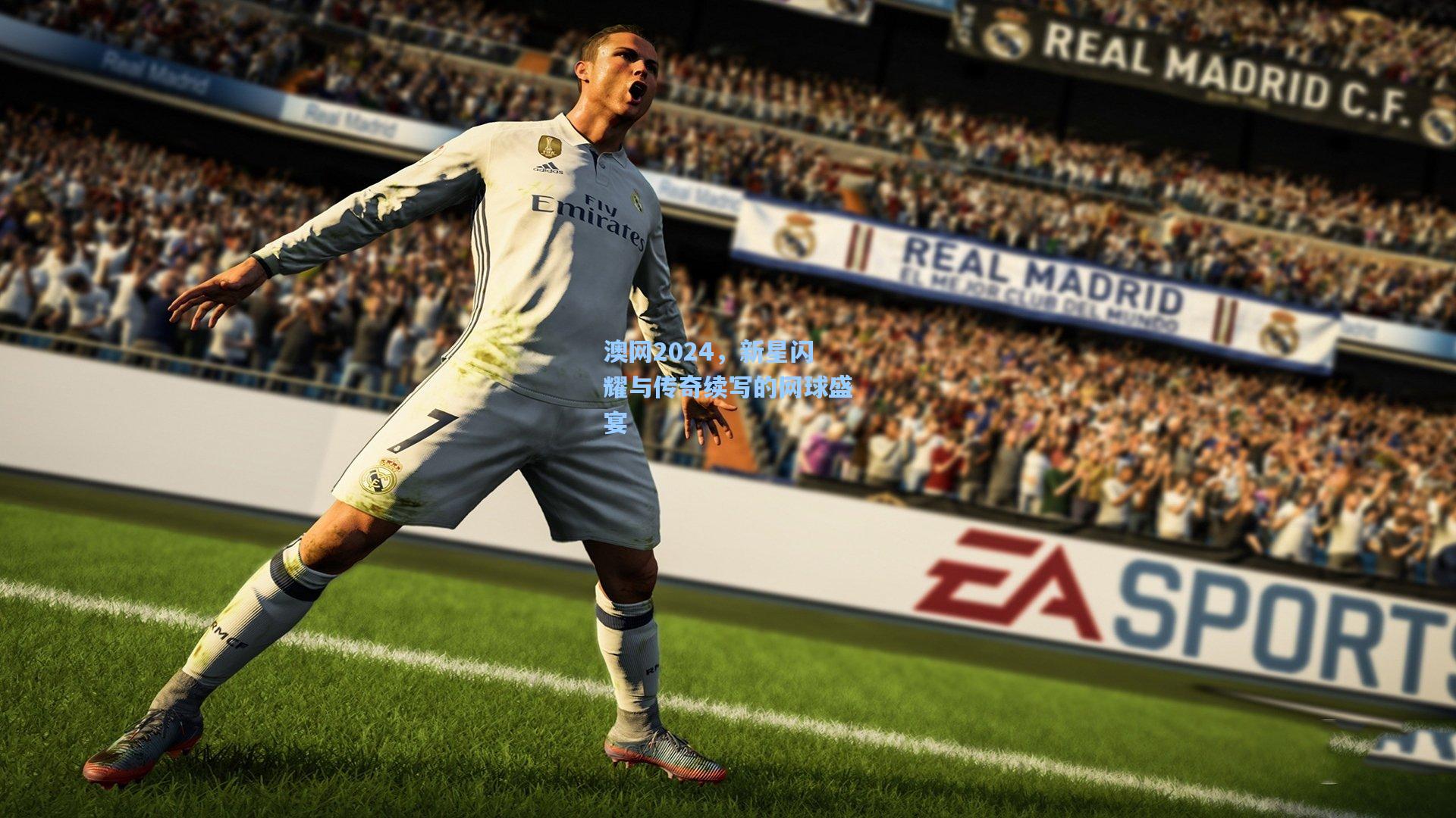 澳网2024,新星闪耀与传奇续写的网球盛宴