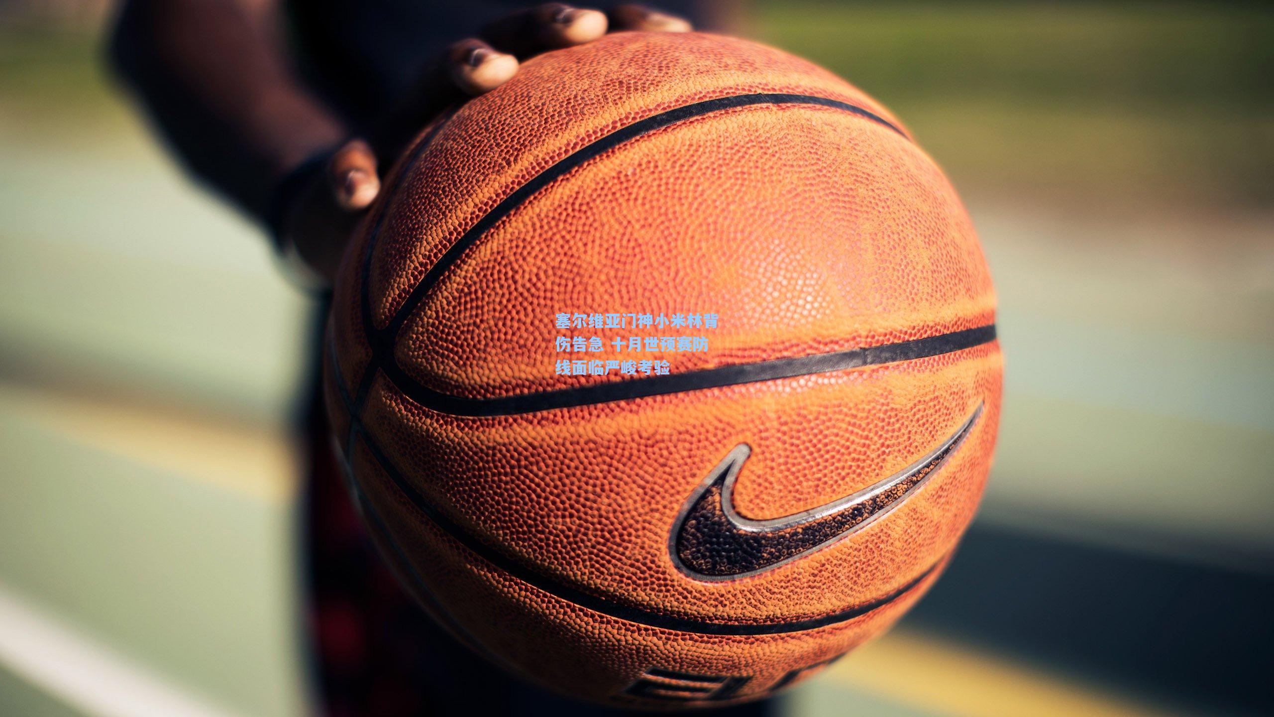 塞尔维亚门神小米林背伤告急 十月世预赛防线面临严峻考验